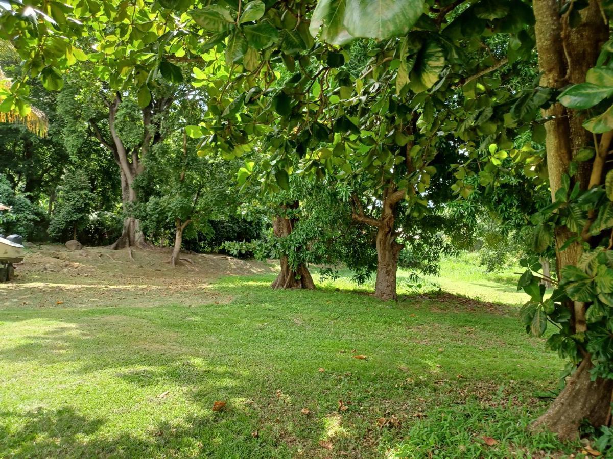 Bungalow Papaye Pointe-Noire Zewnętrze zdjęcie